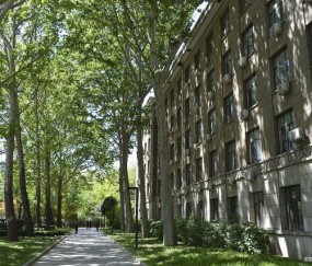 北京林业大学(北京林业大学信息学院)