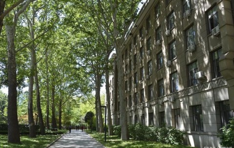 北京林业大学(北京林业大学信息学院)