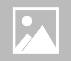 中山大学两篇文章被ccf录用