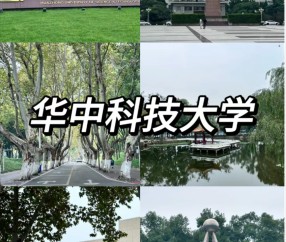 华中科技大学就业信息网