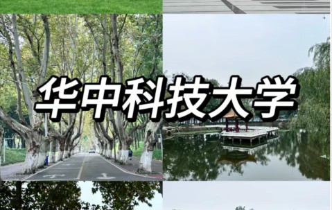 华中科技大学就业信息网