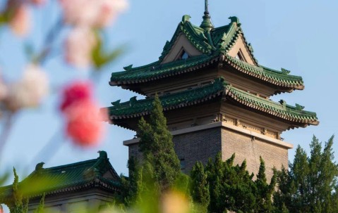 南京农业大学录取分数线2024