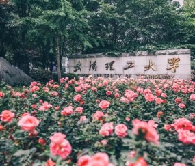 武汉理工大学2025年招生计划