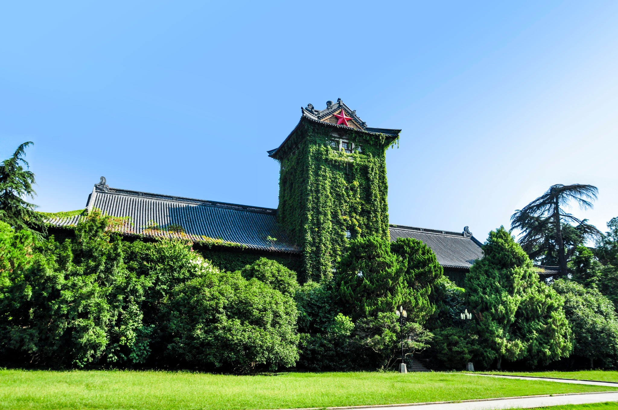 南京大学(南京大学强基计划)