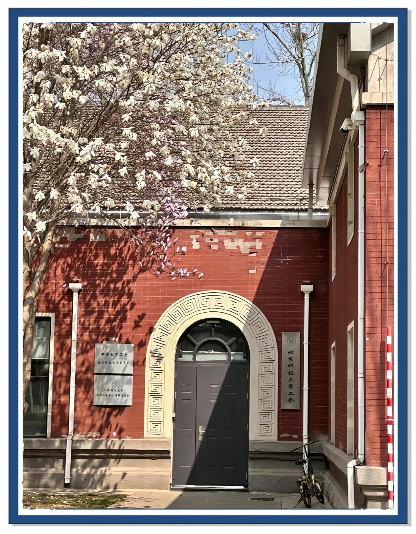 北京科技大学(北京科技大学研究生院)
