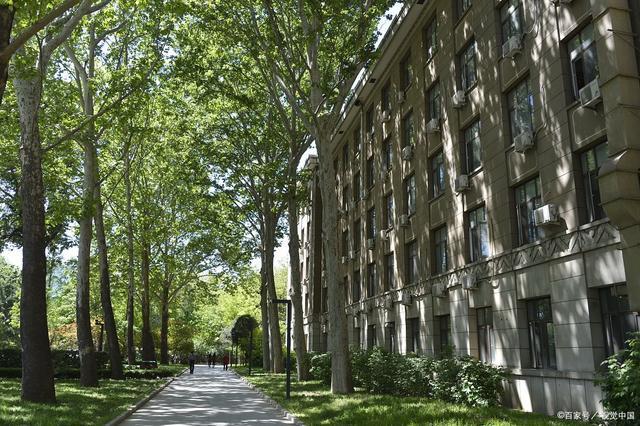 北京林业大学(北京林业大学信息学院)