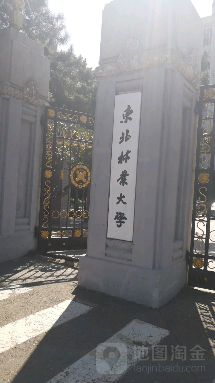 东北林业大学毕业证书